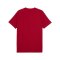 PUMA FRMF Marokko Pumatech T-Shirt Rot F16 - rot