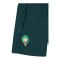 PUMA FRMF Marokko Pumatech Woven Short Grün F13 - gruen