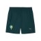 PUMA FRMF Marokko Pumatech Woven Short Grün F13 - gruen