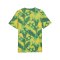 PUMA FSF Senegal FtblCulture AOP T-Shirt Grün F20 - gruen