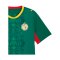 PUMA FSF Senegal Trikot Away WM 2026 Grün F02 - gruen