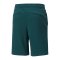 PUMA Fussball Street Short Grün F06 - gruen