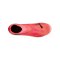 PUMA FUTURE 7 Match+ LL FG/AG The Forever Faster Rosa Schwarz F03 - rosa