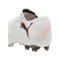 PUMA FUTURE 8 Ultimate Low FG Untamed Weiß F01 - weiss