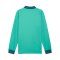 PUMA Future.Puma.Archive T7 Drill Longsleeve T-Shirt Grün F40 - gruen
