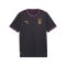 PUMA Galatasaray Istanbul Replica Trikot Away 2026/2027 Grau F05 - grau