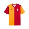 PUMA Galatasaray Istanbul Fan Trikot Home Orange F01 - orange