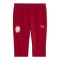 PUMA Galatasaray Istanbul Evostripe Hose Rot F01 - rot