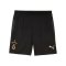 PUMA Galatasaray Istanbul Short Kids Schwarz F010 - schwarz