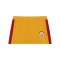 PUMA Galatasaray Istanbul T7 Short Gelb F81 - gelb