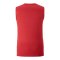 PUMA Galatasaray Istanbul Training SL T-Shirt Rot F202 - rot
