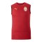PUMA Galatasaray Istanbul Training SL T-Shirt Rot F202 - rot