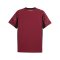 PUMA Galatasaray Istanbul Trikot 3rd 2025/2026 Rot F03 - rot