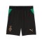 PUMA Borussia Mönchengladbach Short 2026/2027 Kinder Schwarz F02 - schwarz