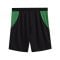 PUMA Borussia Mönchengladbach Short 2026/2027 Schwarz F02 - schwarz