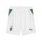 PUMA Borussia Mönchengladbach Short 2026/2027 Weiß F01 - weiss