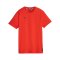 PUMA Hoops Team Drycell T-Shirt Rot F04 - rot