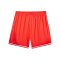 PUMA Hoops Team Game Short Rot F04 - rot