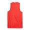 PUMA Hoops Team Game Trikot Rot F04 - rot