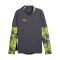 PUMA individualCUP 1/4 Zip Sweatshirt Grau F08 - grau