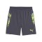 PUMA individualCUP Short Grau F08 - grau