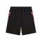 PUMA individualCUP Short Schwarz F07 - schwarz