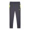PUMA individualCUP Trainingshose Grau F08 - grau