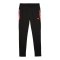 PUMA individualCUP Trainingshose Schwarz F07 - schwarz