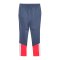 PUMA individualCUP Trainingshose Weiss F53 - weiss