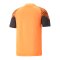 PUMA individualCUP Trainingsshirt Orange F50 - orange