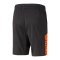 PUMA individualCUP Trainingsshort Schwarz F50 - schwarz