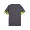 PUMA individualCUP Trikot Grau F08 - grau