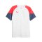 PUMA individualCUP Trikot Weiss F53 - weiss