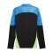 PUMA IndividualFinal 1/4 Zip Top Sweatshirt Schwarz F02 - schwarz