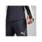 PUMA individualFINAL Fastest Sweatshirt Blau F47 - blau