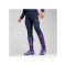 PUMA individualFINAL Trainingshose Blau F01 - blau