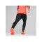 PUMA individualFINAL Fearless Trainingshose F48 - schwarz