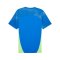PUMA individualFINAL Trikot Blau F02 - blau