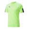 PUMA individualFINAL Fastest Trikot Gelb F47 - gelb