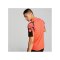 PUMA individualFINAL WC Trikot Blau F48 - blau