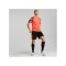 PUMA individualFINAL WC Trikot Blau F48 - blau