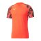 PUMA individualFINAL WC Trikot Blau F48 - blau
