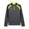 PUMA Sweatshirt Grau F08 - grau