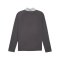 PUMA Individualliga 1/4 Zip Sweatshirt Grau F10 - grau