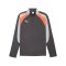 PUMA Individualliga 1/4 Zip Sweatshirt Grau F10 - grau