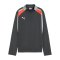 PUMA Individualliga 1/4 Zip Sweatshirt Kids Grau F10 - grau