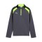 PUMA Sweatshirt Kids Grau F08 - grau