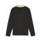 PUMA IndividualLiga 1/4 Zip Top Sweatshirt Kids Schwarz F02 - schwarz