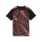 PUMA individualLIGA Graphic Trikot Kids Schwarz F57 - schwarz