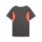 PUMA Individualliga Graphic Trikot Kids Grau F10 - grau
